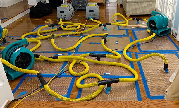 Professional Burst Pipe Water Damage technician working in Island Park, NY